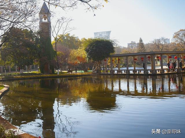 伤心话语，伤心话语句子（伤感伤心的二十四句文案）