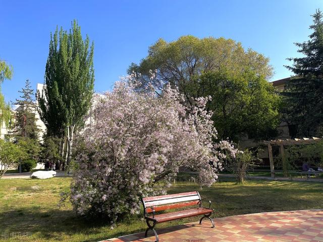 青海民族大学是几本，青海民族大学是几本_是一本还是二本大学（青海最好的4所大学）