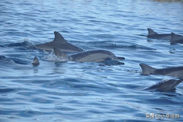 有海的地方哪个比较适合旅游，海边去哪里旅游最好（海岛旅行度假首选）