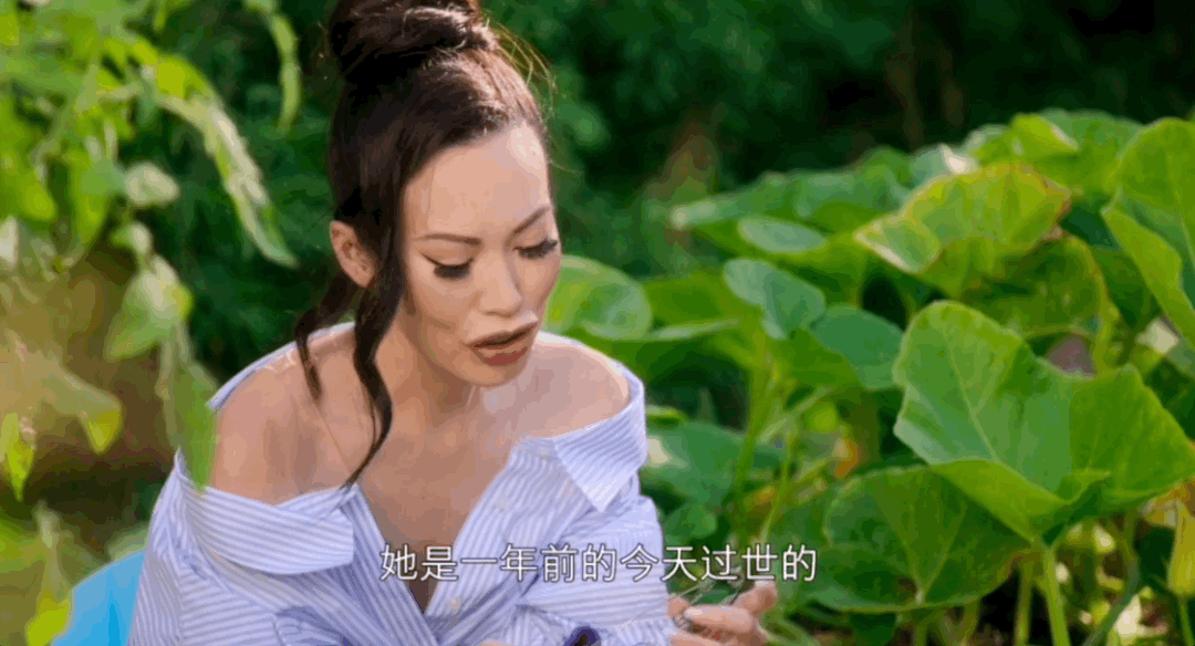 模特dj是什么意思，女性dj是什么意思啊（有钱人世界竟然由这七类人构成）