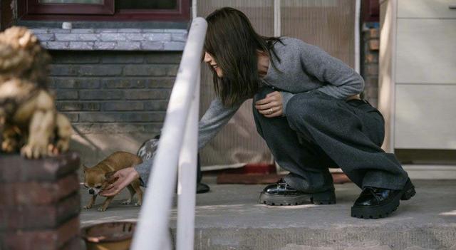 大表姐是谁，詹妮弗劳伦斯（大表姐刘雯秋日胡同随拍秀身材）