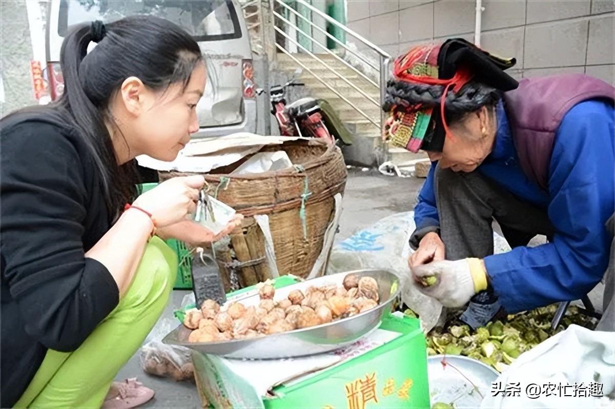 白芨多少钱一斤(白芨鲜品多少钱一斤)插图(4)