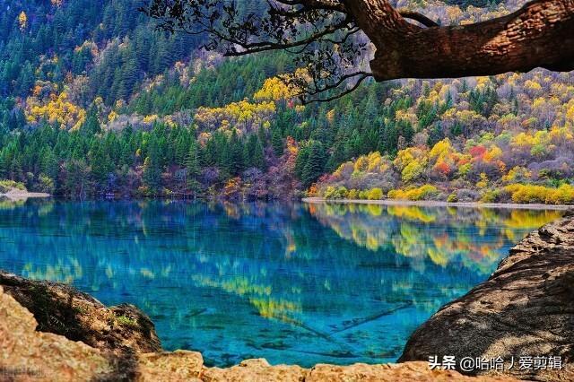 口嗨的意思是什么，口嗨的意思是什么解释（口嗨是什么梗）