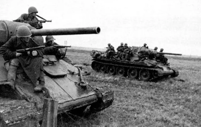 前苏联大老鼠吃了5个人，世界上真的有吃人巨鼠吗（老鼠毁了大半个装甲师）