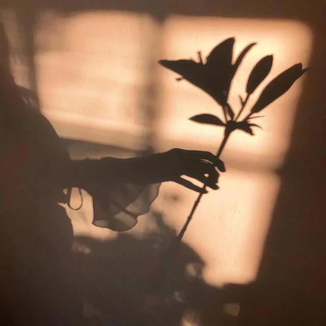 天蝎座男生喜欢什么样的女生，天蝎座男生喜欢什么样的女生星座女人屋（天蝎男容易被什么女人吸引）