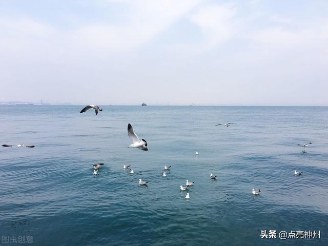 夏天适合到哪里去旅游，夏天去哪里旅游好（5个适宜暑期慢游的大城市）