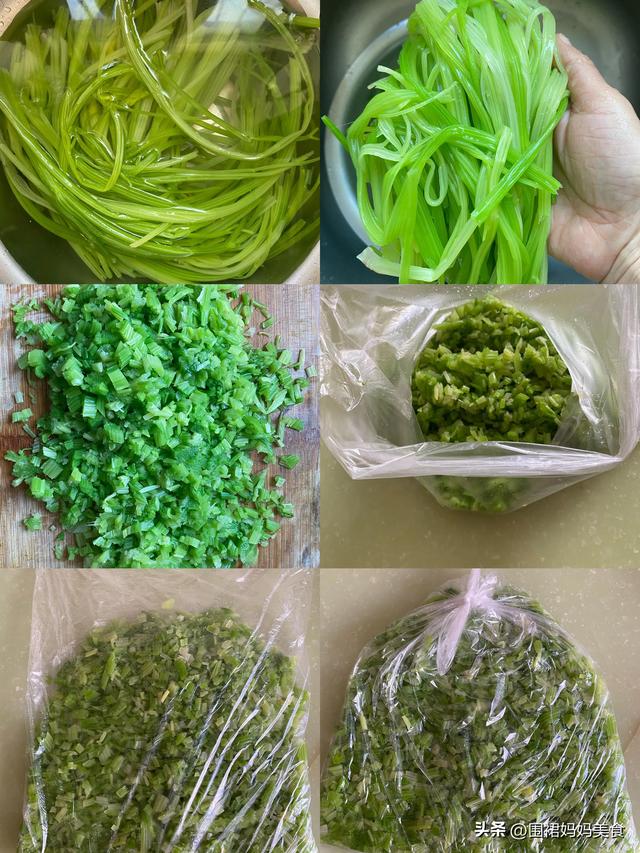 芹菜叶可以冷冻保存吗，芹菜可以放冰箱冷冻保存吗（芹菜像我这样保存）