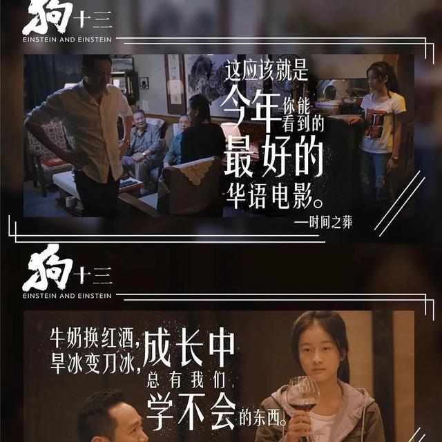 电影狗十三什么意思，电影狗十三名字的含义（《狗十三》一部极具教育意义的电影）