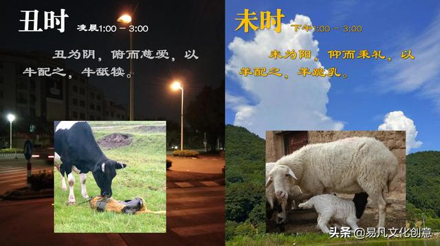 十二生肖什么肖是喜肖，十二生肖什么肖是喜肖（明确阐述了十二生肖动物的搭配原理）