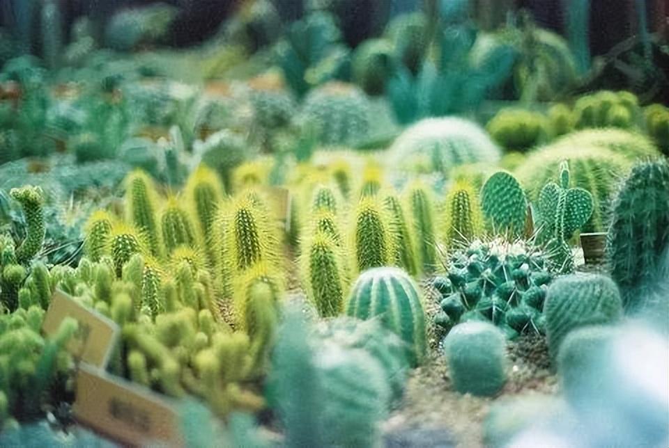 Lrim0 Dg31ie M Lrim0 Dg31ie M