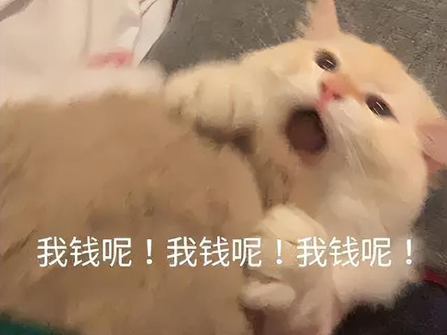 steam什么时候打折，steam什么时候打折力度最大（Steam国庆打折游戏）