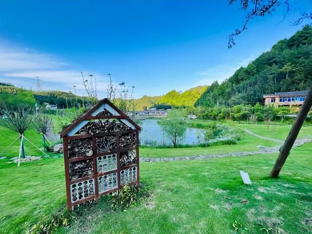 重庆周边旅游的好去处，重庆市周边游玩好去处（2022年美丽休闲乡村）