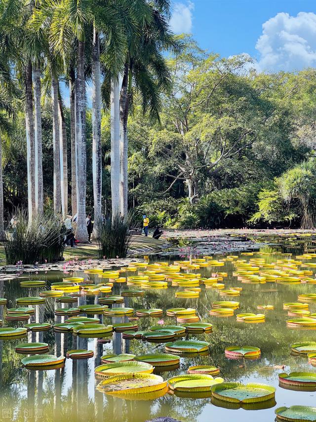 离西双版纳最近的机场是哪一个，离西双版纳最近的飞机场是哪个（翻墙也要去的西双版纳）
