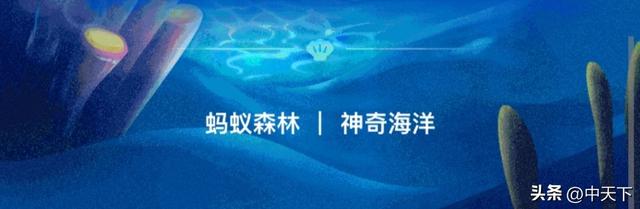 今天蚂蚁庄园小课堂答案（芭芭农场8月19日今日最新答案）