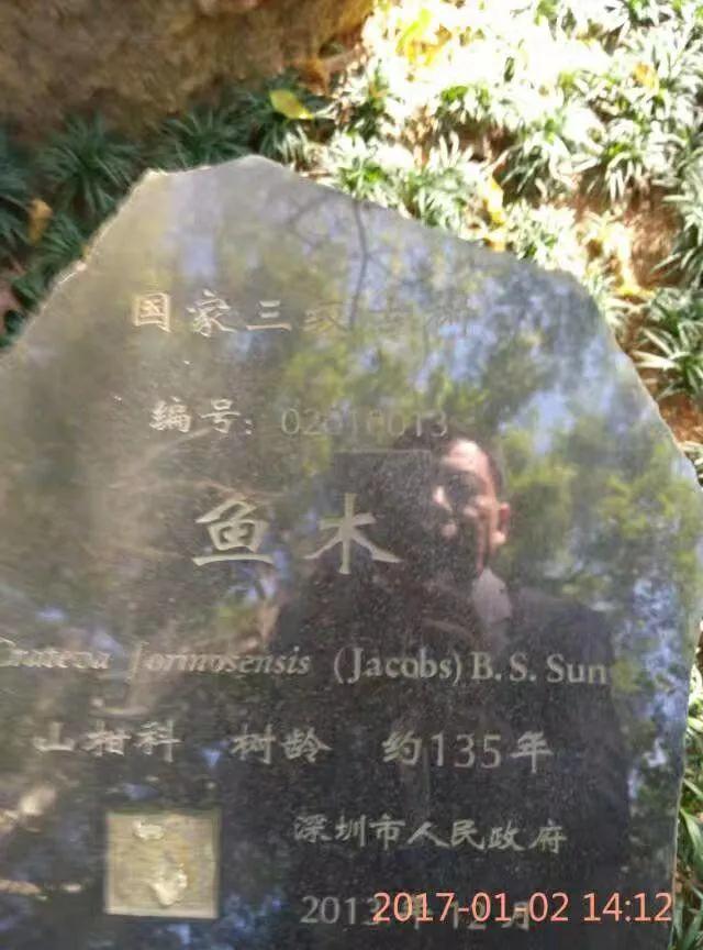 深圳笔架山公园，笔架山公园的草地离哪个口近（游深圳笔架山公园<游记6>）