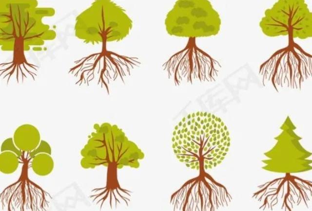 什么是植物，什么是植物染发（简单来认识植物）