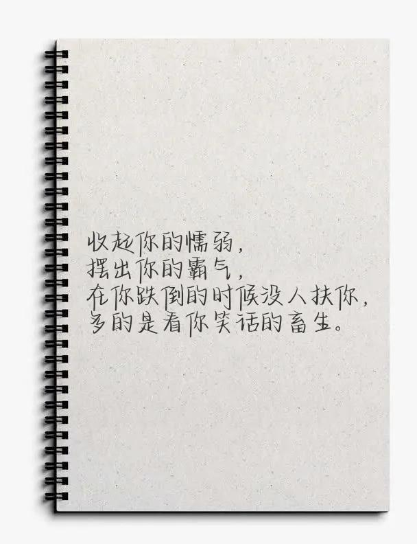 激励努力上进的话，一天一句名言励志（每日摘抄，励志金句）