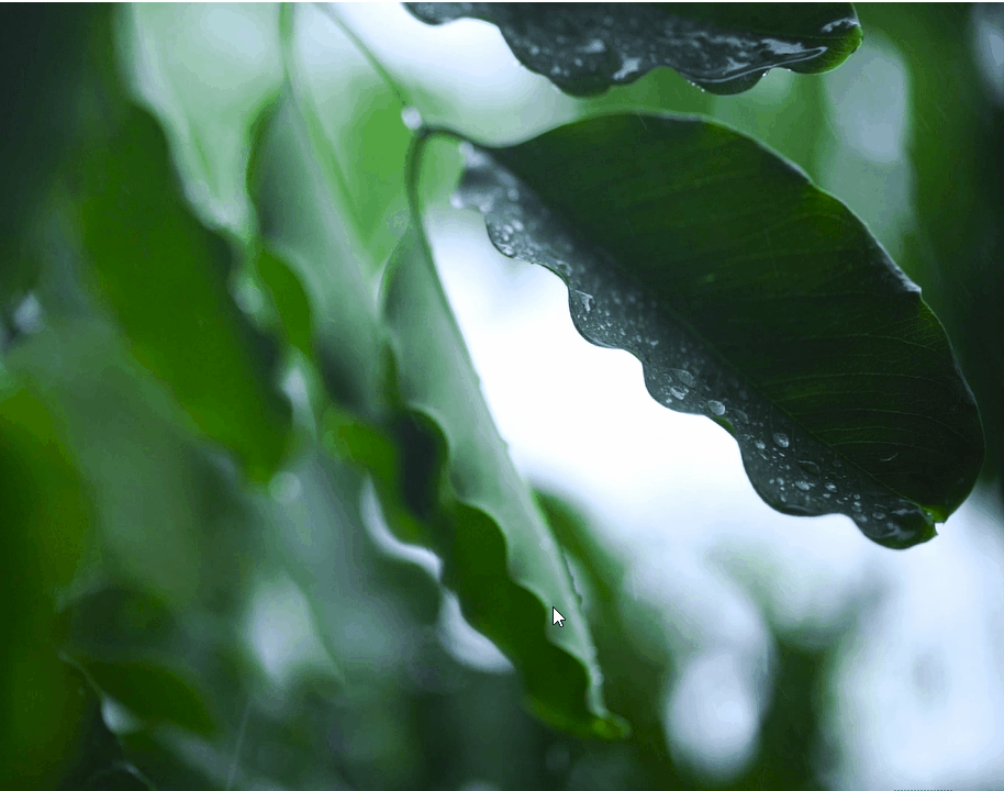 如何录制电脑屏幕视频，如何录制电脑屏幕视频带声音（Windows电脑隐藏5个录屏技巧）