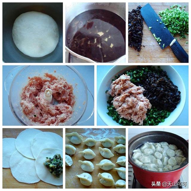 鸡肉可以做什么馅的饺子，鸡肉能做什么馅饺子（一口下去全是营养）