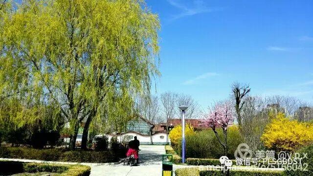 南山公园在哪里，深圳大南山公园开放时间（这是你们熟悉的那个南山公园吗）