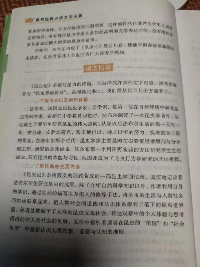 老象虫的外形特点，老象虫外表有何特点（一起读书——《昆虫记》）