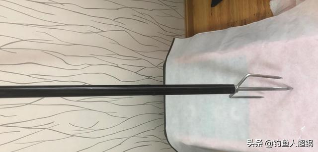 杀甲鱼有几种方法，甲鱼咋个杀（掌握方法一钩一线一饵一晚上就可以钓一桶）