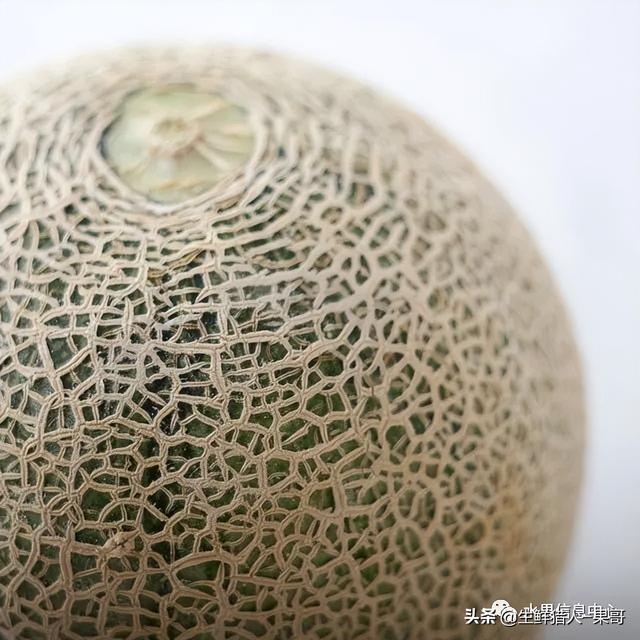 绿色的哈密瓜叫什么，绿色的哈密瓜叫什么名字（哈密瓜、蜜瓜、网纹瓜、香瓜、羊角蜜傻傻分不清）