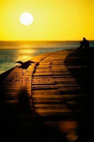 落日余晖图片，落日余晖（壁纸：黄昏夕阳）