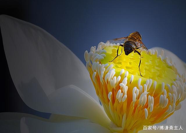 手机拍星空参数设置，华为手机拍星空手机参数怎么设置（小白也能用手机拍出大片）