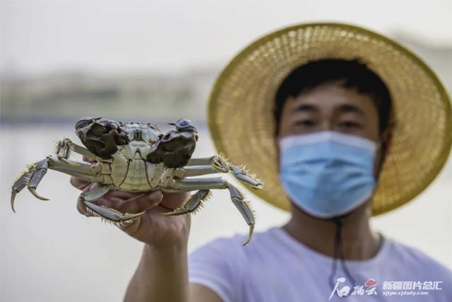 我国最长的河流是什么，世界最长河流排名前十（塔里木河到底有多重要）