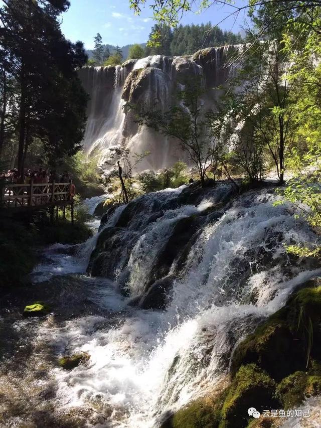 九寨归来不看水，九寨归来不看水的意思（黄山归来不看岳,九寨归来不看水的意思）