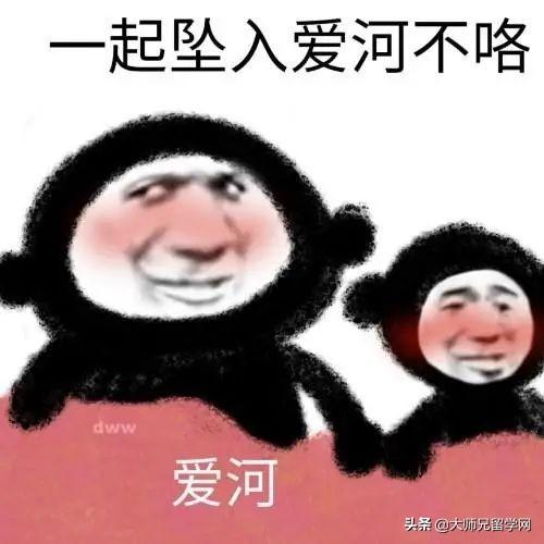 yp是什么意思网络用语，yp是什么意思网络用语 视频（中国女留学生惨遭“杀猪盘”）