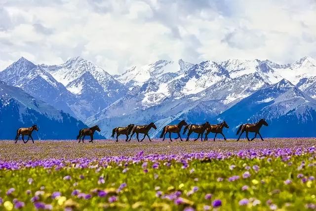 暑假去哪里旅游好，暑假去哪里旅游好玩2021（最适合去的12个美景地）