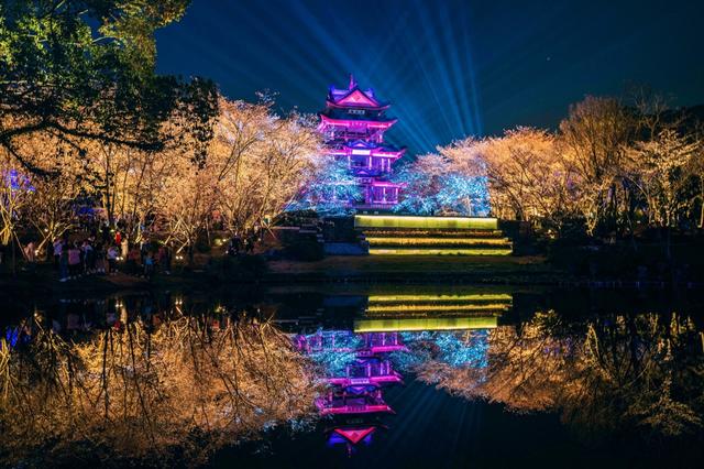 相约无锡太湖鼋头渚樱花季，赴鼋头渚来一场樱花的春日约会