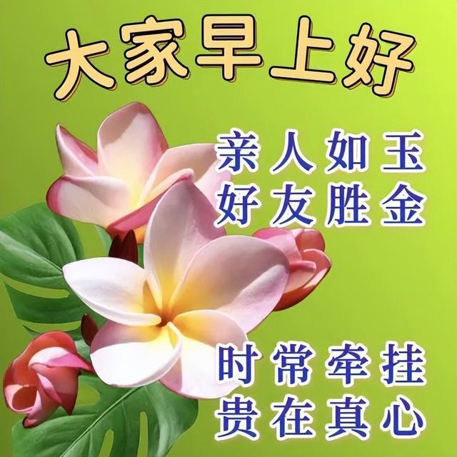 早上好的表情包，早上好表情图大全带字（最新的漂亮早上好问候表情图片）