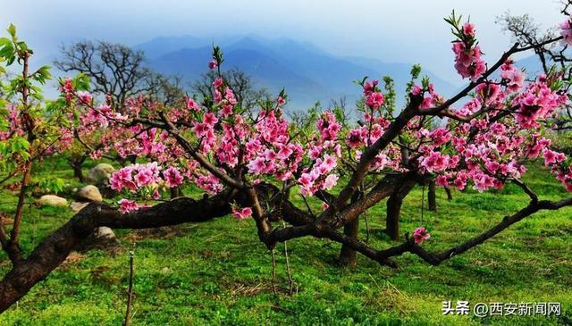 春季旅游十大攻略，10条乡村旅游精品线路任您选