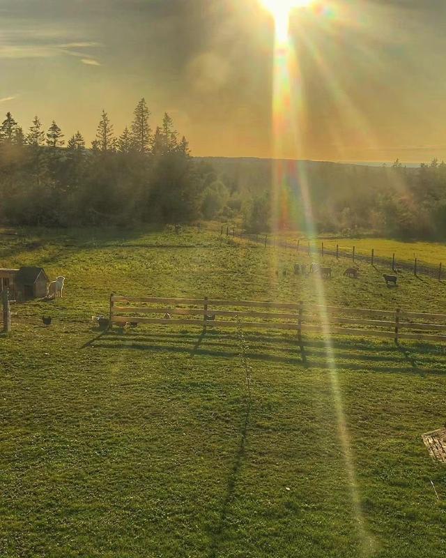 微信状态背景视频，微信怎么做状态背景视频（<有教程和配套农场状态背景图>）