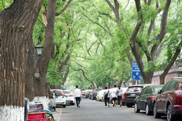 走，去孔庙和国子监博物馆
