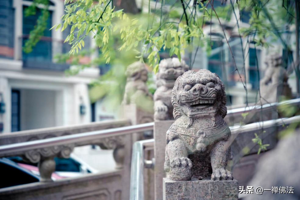 梦见月亮和星星，梦见月亮和星星什么预兆（你若梦到这些情景）