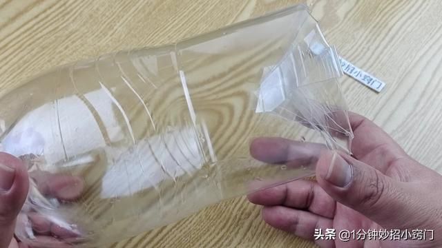 家里老鼠太多怎么消灭，教你一招轻松消灭家里的老鼠