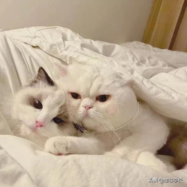 情侣头像刺激一点的，紧张刺激の三人情头no.微信（你们确定不点进来看看吗）