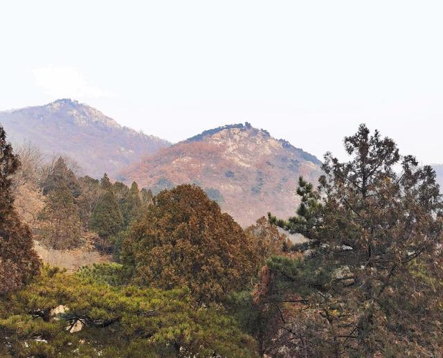 泰山好玩吗，泰山旅游攻略（此生不老，必去泰山）