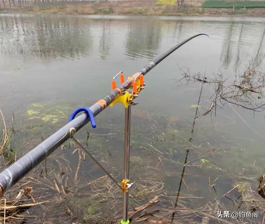 钓鲤鱼的方法和注意事项，守钓鲤鱼是最“笨”的办法