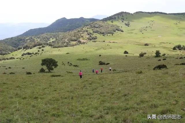 大理海拔多少米(高原最多只能待几年)