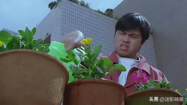 雷雨的故事情节概括，雷雨的故事情节300字（尺度很敢拍的8部老国产片）