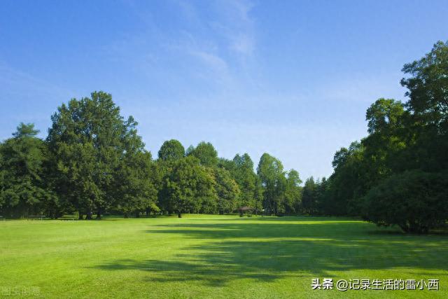在重庆家门口感受4个免费的秋日花海！含攻略