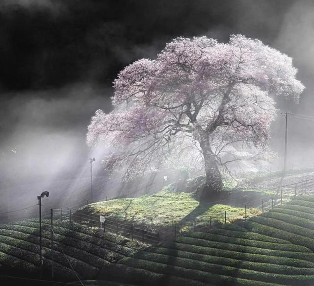 分别时不舍的优美话语，离别不舍的唯美句子（关于离别的绝美文艺描写句子）