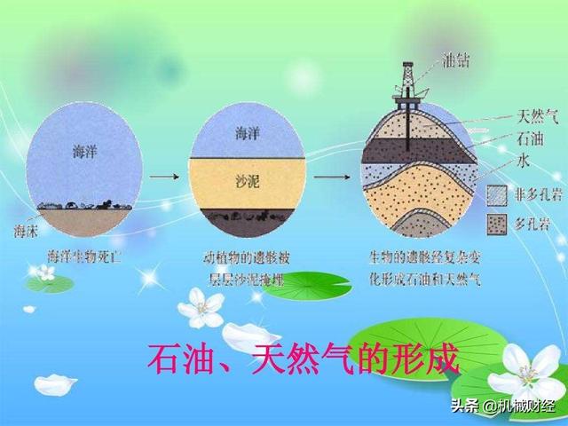 化石燃料有哪些，可再生能源有哪些（为什么煤炭石油天然气统称为化石燃料）