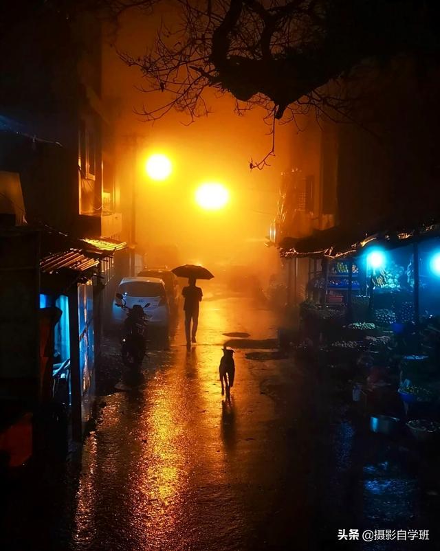 作业帮app不能拍照片怎么回事，作业帮的拍照功能不能用是怎么回事（教你随手拍有趣照片）