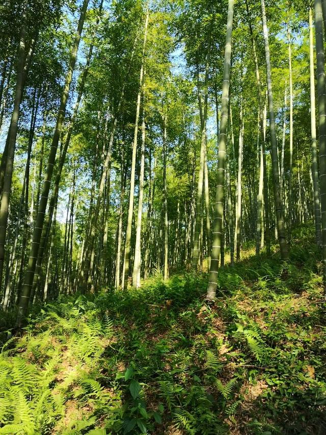 面试技巧和注意事项，面试的技巧和注意事项（面试中要注意的10个细节）